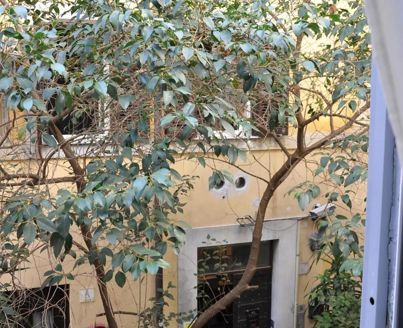 Colosseo Studios Roma